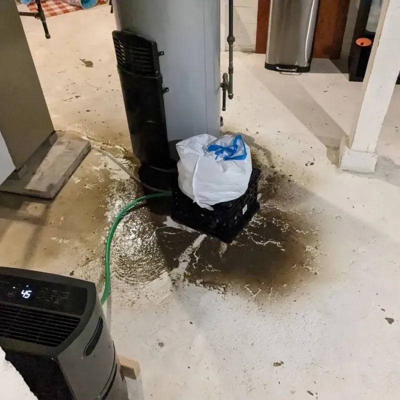 Sewage Backup Cleanup Service in Monessen, PA